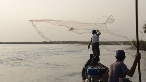 Asia Insight Season 8 Episode 16 - Fishing with Dolphins: Myanmar