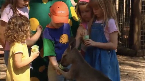 The Wiggles Season 3 Episode 6 - Watching the Waves