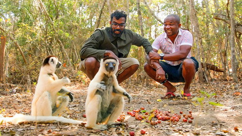 The Misadventures of Romesh Ranganathan Season 4 Episode 3 - Madagascar
