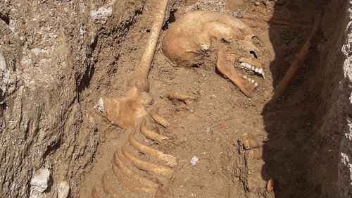 Digging for Britain Season 8 Episode 1 - West