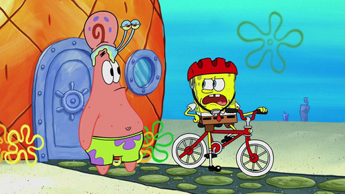 Bike Safety Tips still