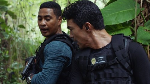 undefined Season 10 Episode 8 - Neʻe aku, neʻe mai ke one o Punahoa (That Way and This Way Shifts the Sand of Punahoa)