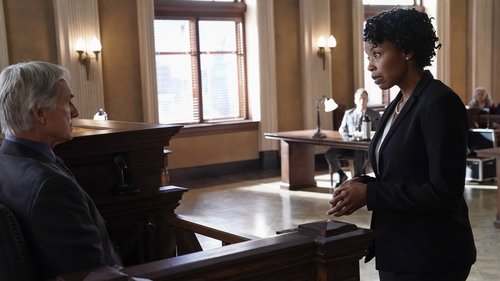 NCIS Season 15 Episode 7 - Burden of Proof