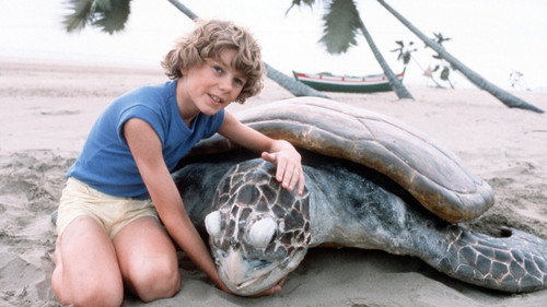 undefined Season 4 Episode 3 - The Boy Who Talked with Animals