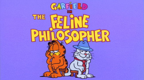 The Feline Philosopher still