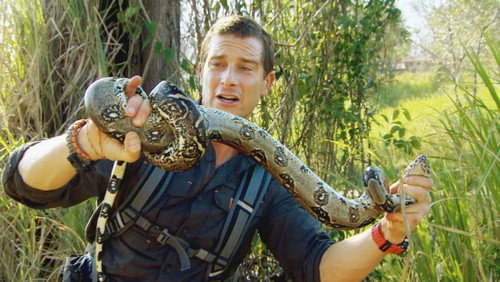 The Island with Bear Grylls Season 1 Episode 6 - Surviving the Island