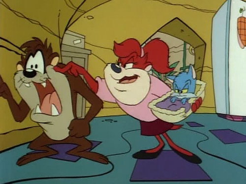 Taz-Mania Season 1 Episode 16 - Here, Kitty, Kitty, Kitty