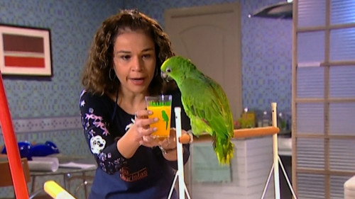 A Diarista Season 3 Episode 9 - Aquele do Papagaio