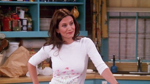 undefined Season 6 Episode 22 - The One with the Ring
