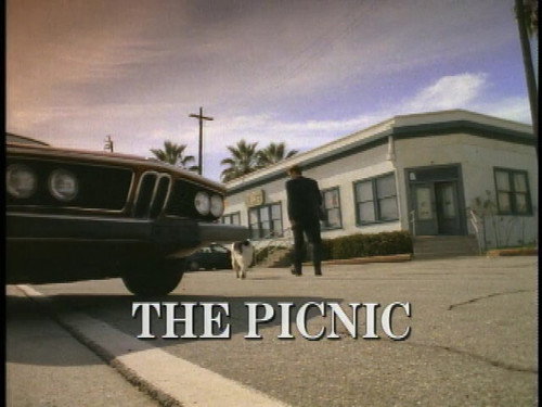 Red Shoe Diaries Season 5 Episode 3 - Picnic