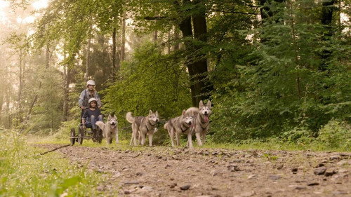Episode 194 still