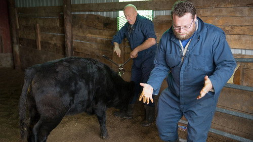 The Incredible Dr. Pol Season 5 Episode 8 - Santa Paws