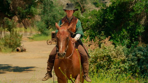 The Girl Who Loved Horses still