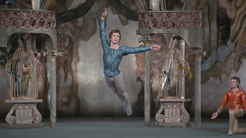 Great Performances Season 52 Episode 10 - The Magic of Nureyev