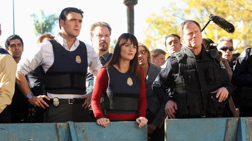 The Mentalist Season 3 Episode 13 - Red Alert