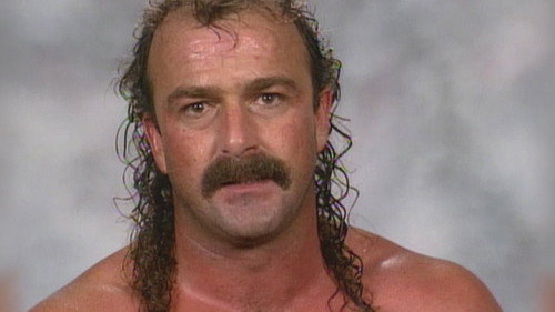 WWE's Greatest Moments Season 3 Episode 8 - Jake "The Snake" Roberts