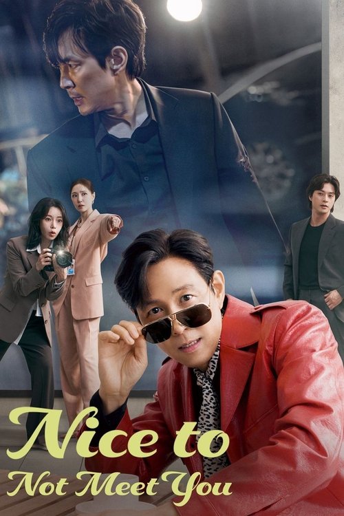 Nice to Not Meet You poster