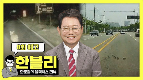 Han Moonchul's Dashcam Review Season 1 Episode 8 - Episode 8