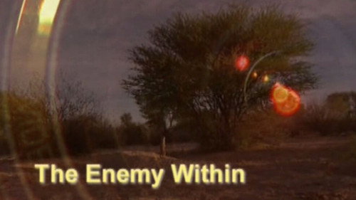 Meerkat Manor Season 2 Episode 8 - The Enemy Within