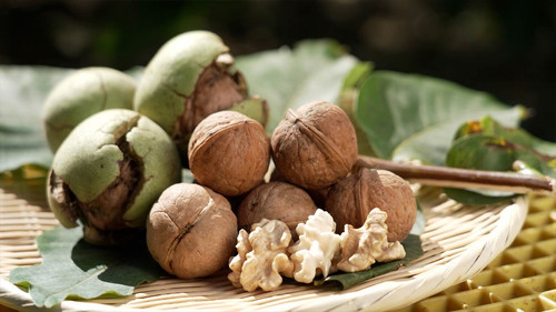 Trails to Oishii Tokyo Season 7 Episode 18 - Walnuts