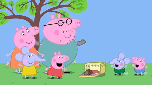 Hedgehog still