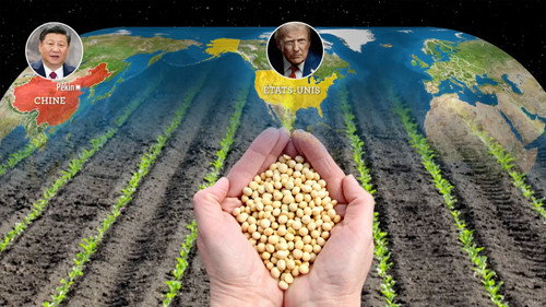 Mapping the World Season 37 Episode 9 - The soybean, a geopolitical crop