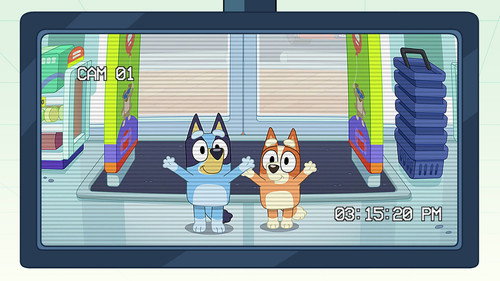 TV Shop still