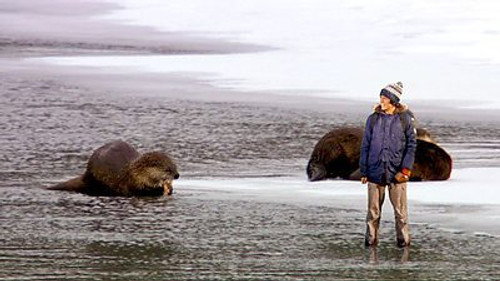 Andy's Wild Adventures Season 2 Episode 5 - Otters