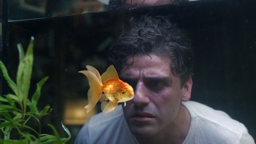 undefined Season 1 Episode 1 - The Goldfish Problem