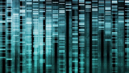 undefined Season 39 Episode 15 - Cracking Your Genetic Code