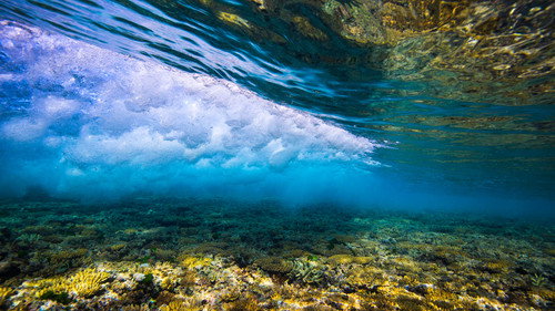 Great Barrier Reef with David Attenborough Season 1 Episode 1 - Builders