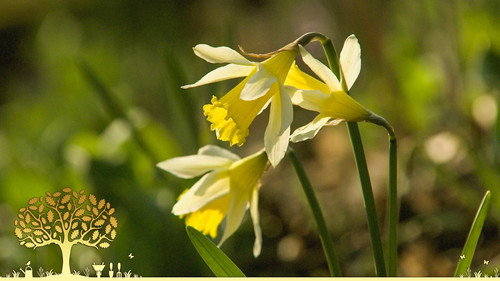 Gardeners' World Season 55 Episode 2 - Episode 2