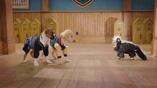 Pup Academy Season 2 Episode 4 - Skunked!