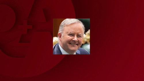 Anthony Albanese on Q+A still