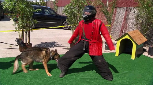 MythBusters Season 9 Episode 18 - Drain Disaster