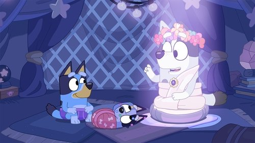 Bluey Season 1 Episode 32 - Bumpy and the Wise Old Wolfhound