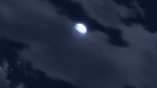 undefined Season 20 Episode 492 - Shikamaru's Story, A Cloud Drifting in the Silent Dark, Part 4: Cloud of Suspicion