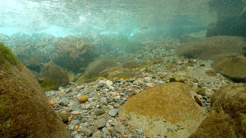 Wild Hokkaido! Season 4 Episode 10 - Early Summer in Tokachi River