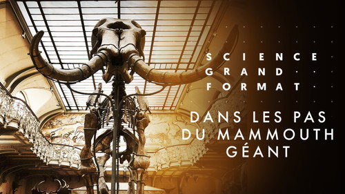 Science grand format Season 8 Episode 5 - Episode 5