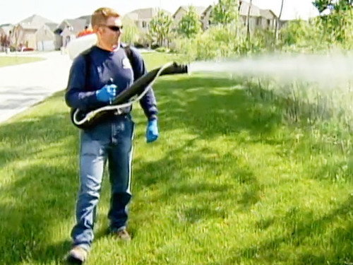Exterminator still
