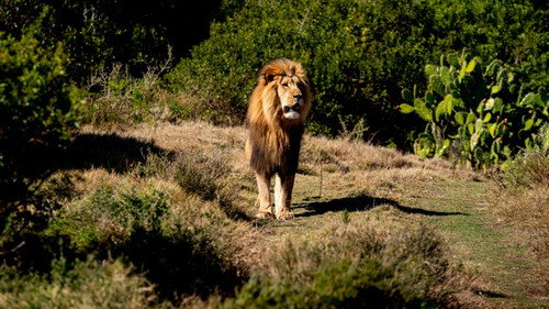 Wie is de Mol? Season 23 Episode 8 - Episode 8