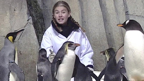 Popular Mechanics for Kids Season 1 Episode 4 - Zoos
