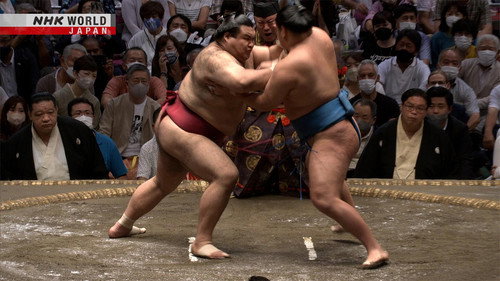 GRAND SUMO Highlights Season 10 Episode 14 - Day 14