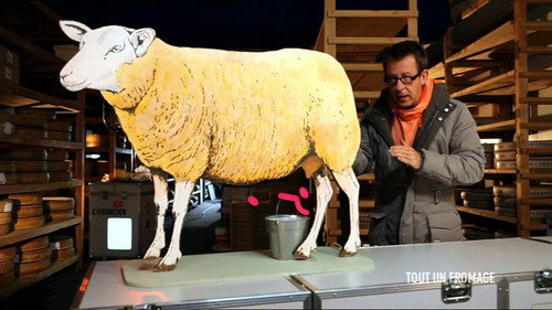 Episode 517 still