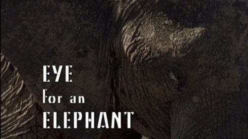 Natural World Season 25 Episode 3 - Eye for an Elephant