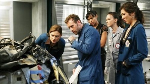 Bones Season 4 Episode 8 - The Skull in the Sculpture