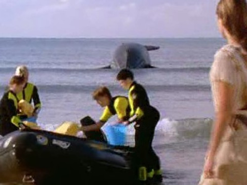 Ocean Girl Season 3 Episode 17 - Charlie is Stranded