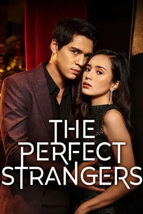 The Perfect Strangers poster