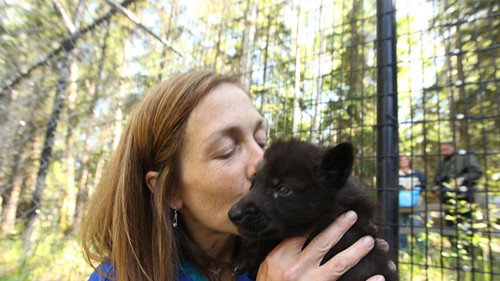 Dr. Oakley, Yukon Vet Season 2 Episode 6 - Leopards, Wolf Pups & Grizzlies, Oh My!