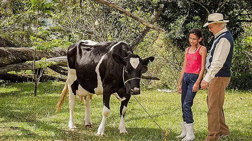 Lady, la vendedora de rosas Season 1 Episode 10 - Episode 10